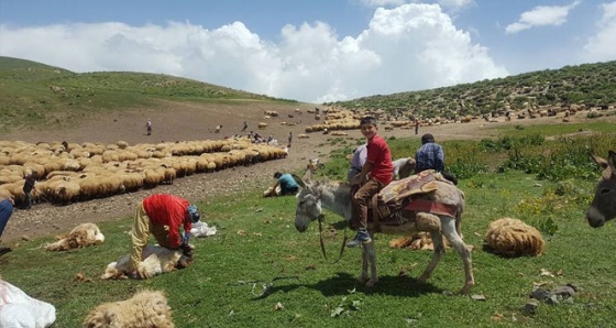 Hakkarili çocuklar yaylalara çıktı