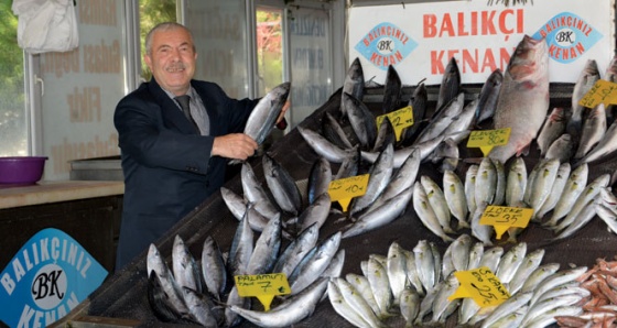 Hamsinin kaybolduğu tezgahta zam şampiyonu istavrit