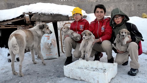 Harçlıklarıyla sokak köpeklerini besleyen öğrencilere destek