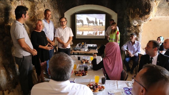 Hasankeyf'teki 9 mağara butik otele dönüşecek