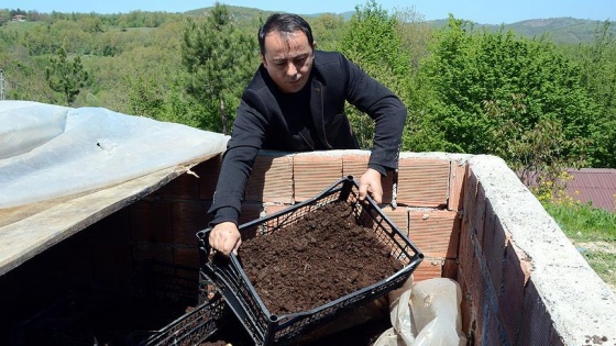 Hastalığında tanıştığı solucan gübresi geçim kapısı oldu