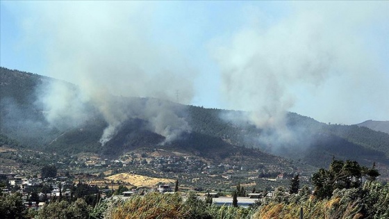 Hatay'da 4 farklı noktada çıkan orman yangınına müdahale ediliyor