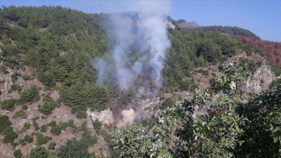 Hatay'da çıkan orman yangını kontrol altına alındı