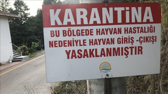 Hatay'da kuduz karantinası