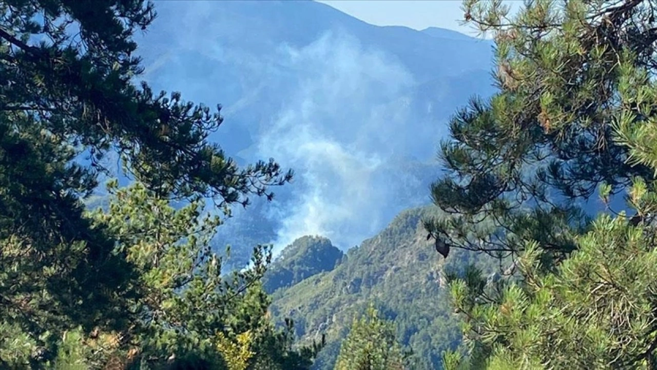 Hatay'da ormanlık alanda çıkan yangına müdahale ediliyor