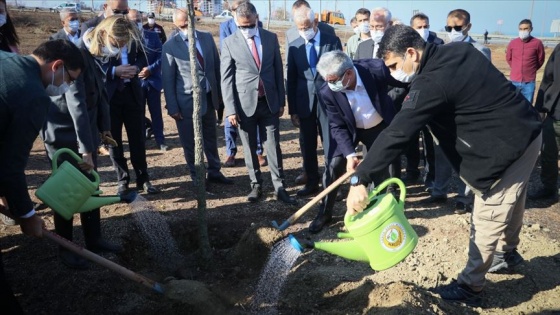 Hatay'da yanan ormanlık alanlara mabet ağacı dikildi