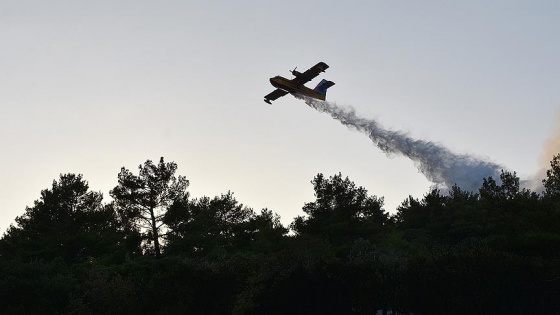 Hatay'daki orman yangını kontrol altında