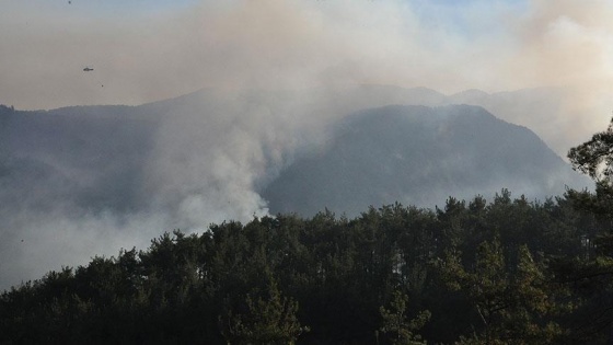 Hatay'daki orman yangınını söndürme çalışmaları sürüyor