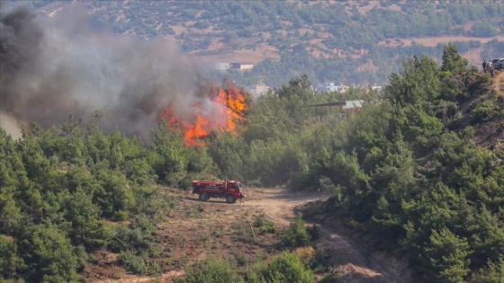 Hatay'daki orman yangınları kontrol altına alındı