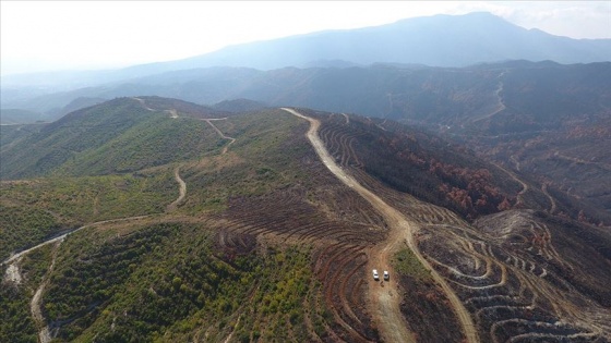 Hatay'daki yangının izlerini silmek için hummalı çalışma