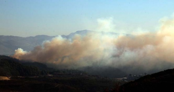 Hatay'ın Suriye sınırında orman yangını