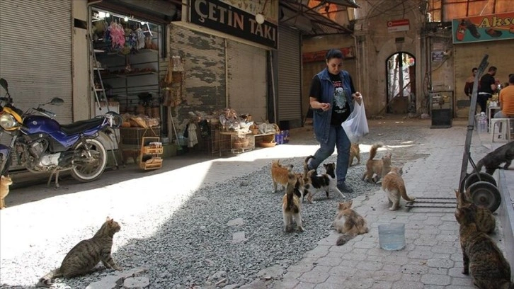 Hatay'da depremzede kadın tarihi çarşıdaki iş yerinin önünde sahipsiz kedilere bakıyor