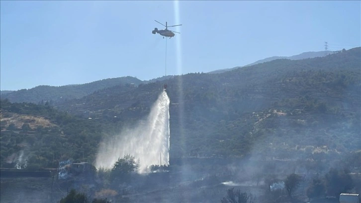 Hatay'da zeytinlik ve ormanlık alanda çıkan yangın kontrol altına alındı