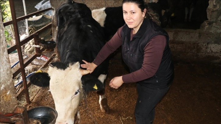 Hataylı kadın girişimci devlet desteğiyle besici oldu