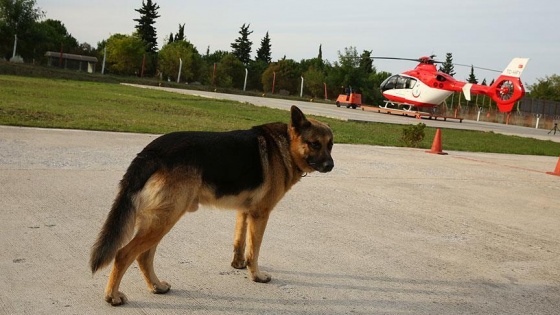 Hava ambulans merkezinin 'Paşa'sı