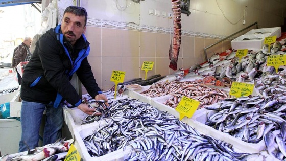 Havalar ısındı, balık fiyatları düştü