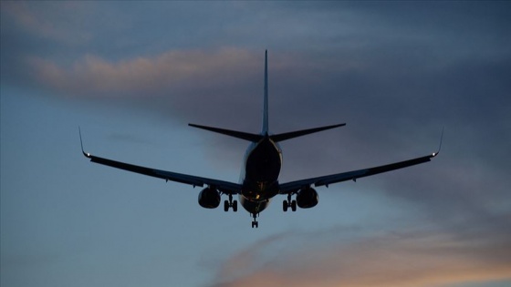 Havalimanında bebeğini unutan kadın yolcu uçağını geri döndürdü