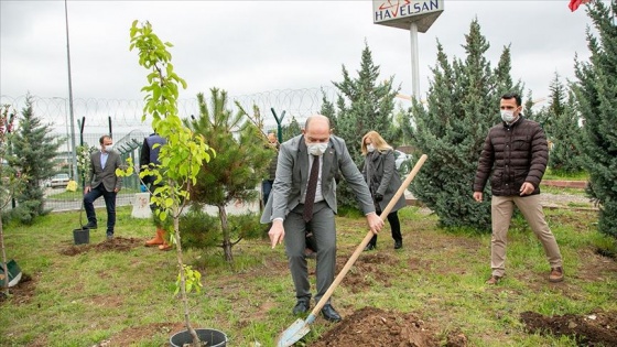 HAVELSAN, çalışanlarının çocukları adına 1300 ağaç dikecek