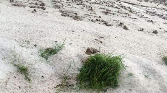 Hayrabolu'da sağanak ve dolu tarım alanlarına zarar verdi