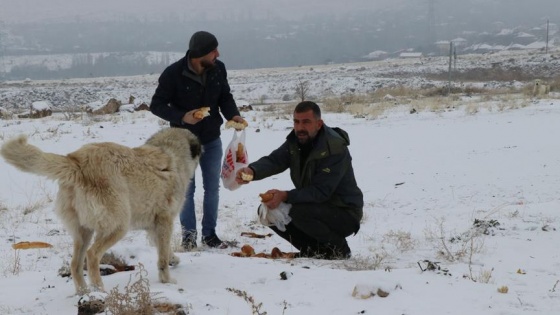 Hayvanlar için 15 yıldır doğaya yem bırakıyor