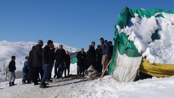 Hayvanların bulunduğu baraka kar nedeniyle çöktü