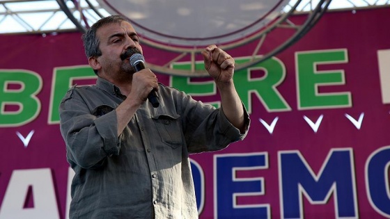 HDP'li Sırrı Süreyya Önder ifade verdi