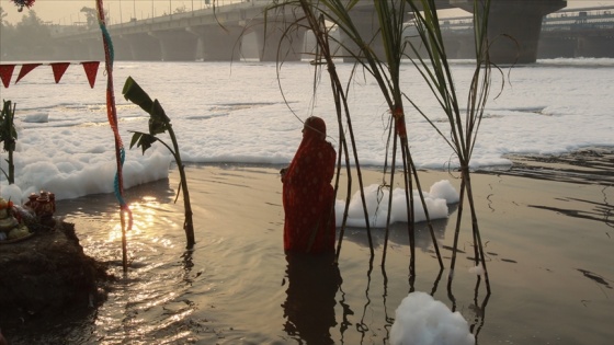 Hindistan'da Yamuna Nehri zehirli köpükle kaplandı