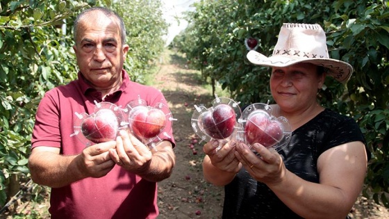 Hobisini mesleğe dönüştürdü