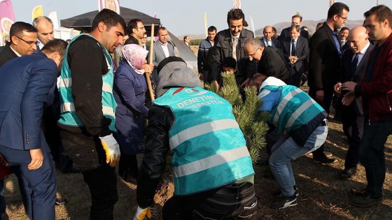 Hükümlüler cezalarını fidan dikerek çekiyor