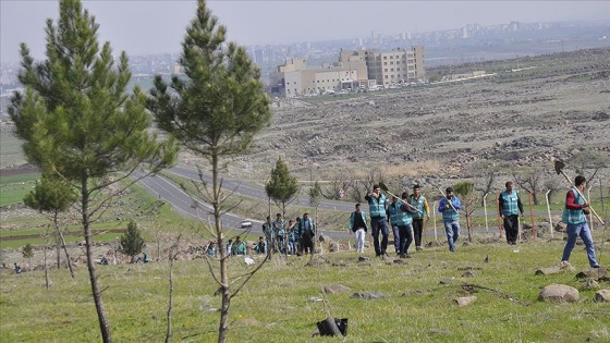 Hükümlüler üç yılda 2,5 milyona yakın fidan dikti