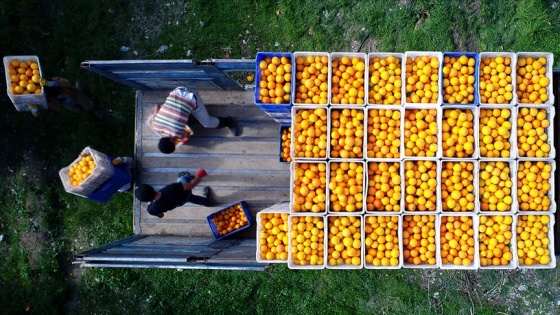 'Hümik asitle' tarımda verimlilik artırılacak