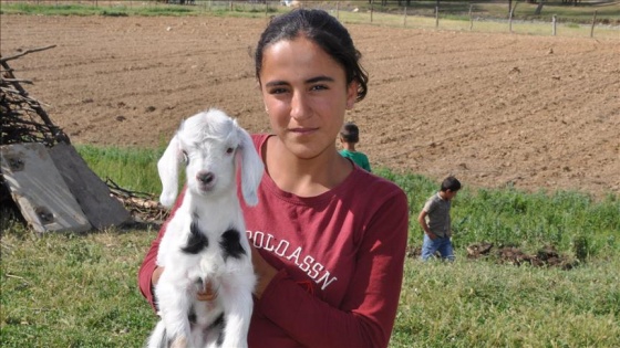 Huzur sağlandı Şenyayla şenlendi