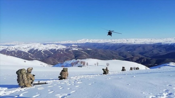 İçişleri Bakanlığı: Bingöl'de 'Kapan-9 Karer Operasyonu başlatıldı