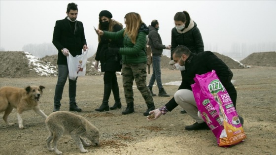 Iğdır'da öğretmenler sokak hayvanları için caddelere mama bıraktı