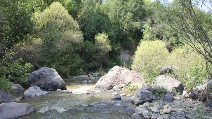 Iğdır'da aşırı sıcaktan bunalanlar Üçkaya Vadisi'ndeki derelerde serinliyor