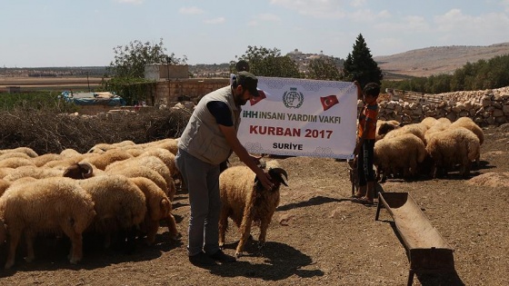 İHH Suriye'de kurbanlık alımını tamamladı