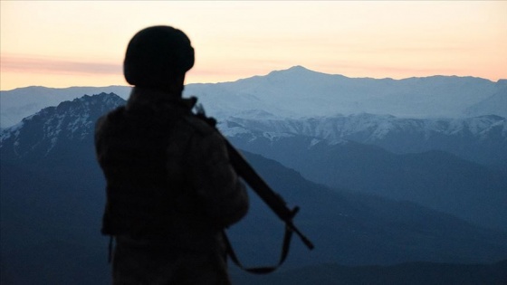 İkna edilerek teslim olan PKK'lı teröristin kırmızı bültenle arandığı belirlendi