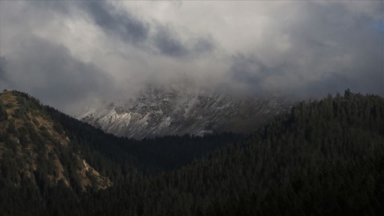 Ilgaz'a mevsimin ilk karı yağdı