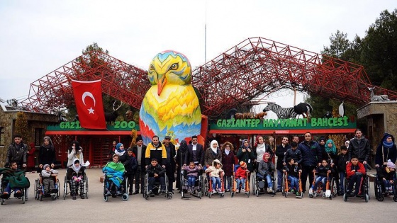 İlk kez hayvanat bahçesi gördüler