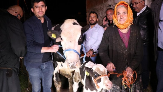 İneği için gözyaşı döken kadına bakan hediyesi