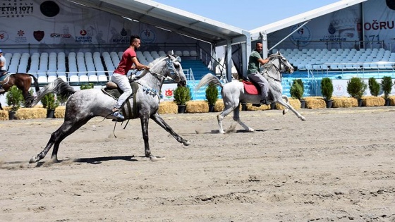 İngiliz ve Arap ırkı atlarla akrobasi gösterisi yapacaklar