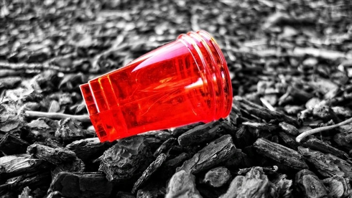 İngiltere'de tek kullanımlık plastik çatal, bıçak ve tabaklar yasaklandı