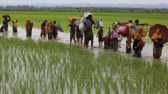 İnsan hakları örgütü Fortify Rights: Myanmar, Arakanlı Müslümanların haklarını inkara devam ediyor