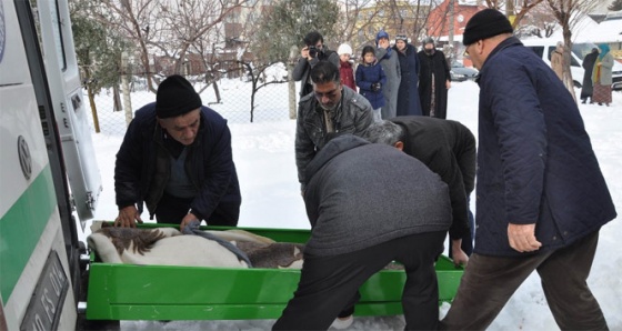 Isınmak isterken can verdiler: 2 ölü