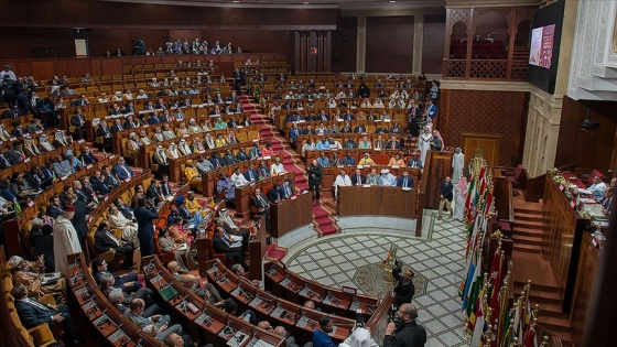 İSİPAB'dan FETÖ'ye karşı Türkiye ile iş birliği çağrısı