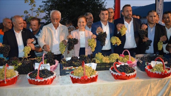 İslahiye Üzüm ve Biber Festivali başladı