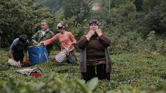 'Islık dili' TÜBİTAK projesi oldu