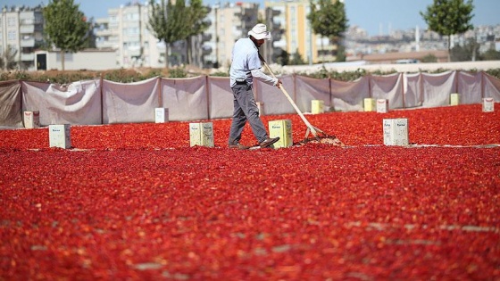 İsotta tanıtım atağı başlıyor