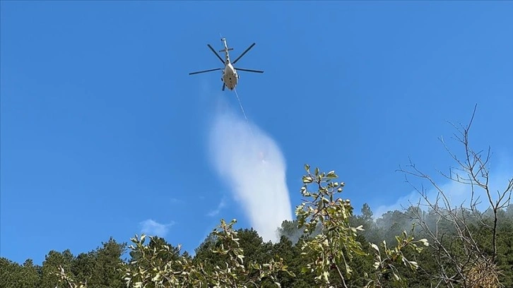 Isparta'da çıkan orman yangını söndürüldü