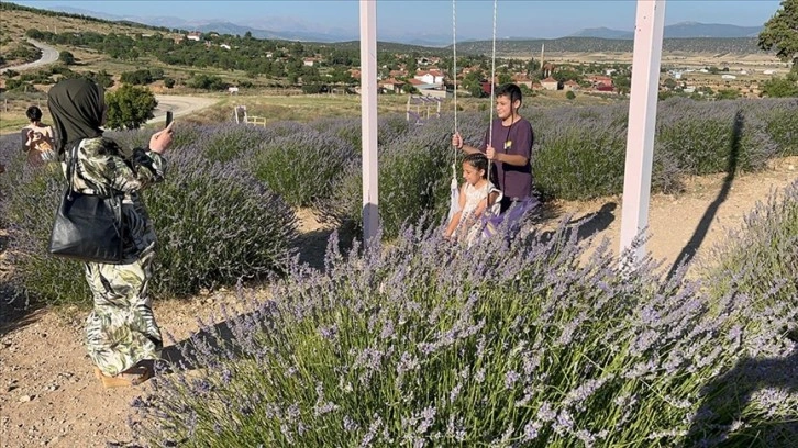 Isparta'daki lavanta bahçelerini festivalin ilk 3 günü yaklaşık 100 bin kişi ziyaret etti